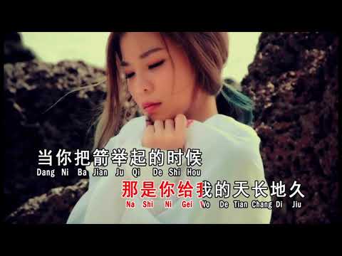 飞鸟与射手 ~ 依文（MV）