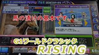 ２５３　メダルゲーム　G１ワールドクラシック　ライジング　RISING　番外編　【 手漬けの基本 】