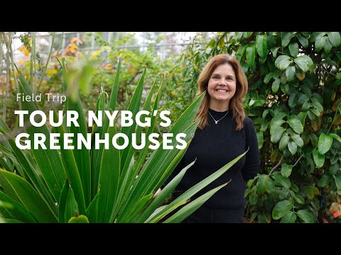 Go Behind NYBG's 1-Acre GREENHOUSES — Ep. 353