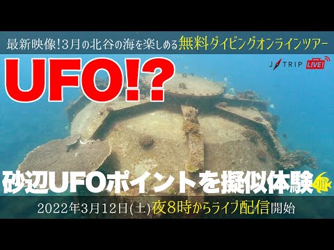 【沖縄ダイビングオンラインツアー】砂辺UFOポイントを擬似体験！海底に佇む2つの謎の物体！