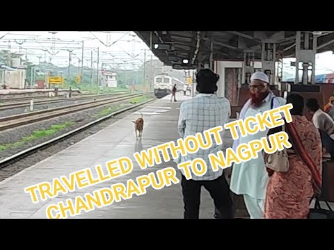 Almost Got Caught| MISSED TRAIN | Chandrapur To Nagpur #traveldiaries