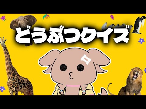 【動物雑学かんたん勉強学習教養知育パズル】ワタクシ動物なので、余裕の全問正解しますね＾＾【犬系Vtuber/戌神ころね】