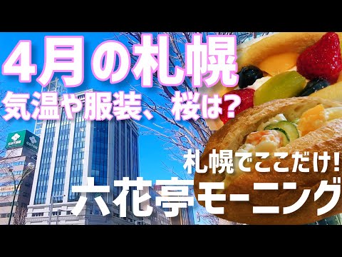 【4月の札幌って過ごしやすい?】服装や天気、桜についてまとめました!コスパ最強のモーニングも紹介【札幌朝活部】