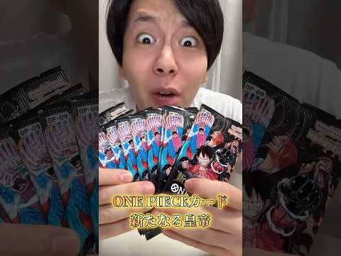 ONEPIECEカード開封で奇跡を狙う限界オタク