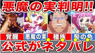 【公式ネタバレ】ついに判明した悪魔の実の能力！未来島の裏設定全てが語られたビブルカードを徹底解説【ワンピース】【ゆっくり解説】