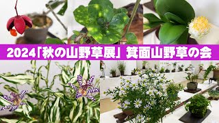 【秋の山野草展】2024年 秋ならではの樹形や草姿を楽しむ作品展示【箕面山野草の会】