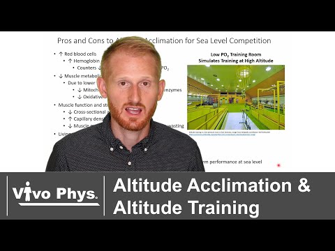 Altitude Acclimation and Altitude Training for Aerobic Exercise Endurance