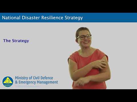 National Disaster Resilience Strategy - The Strategy