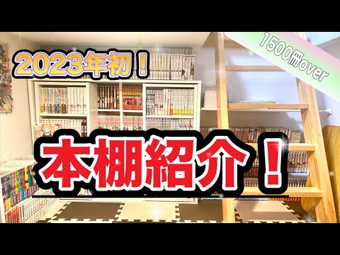 【本棚紹介】一人暮らし就活生による2023年初の本棚紹介！！