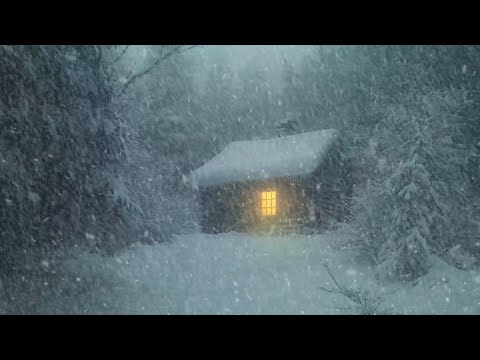 Relax with the Powerful Sounds of a Snowstorm |Howling Winds Help you Sleep Better & Reduce Stress