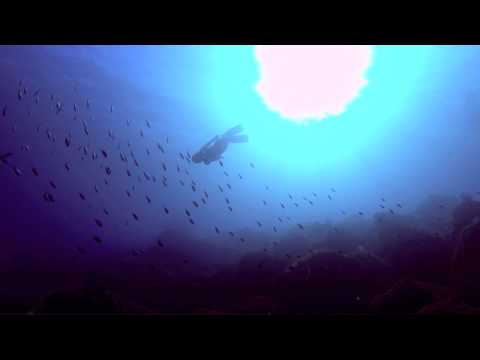 Recreational Freediving! Play with fishes! - HatsuIsland, January 2015 (初島)