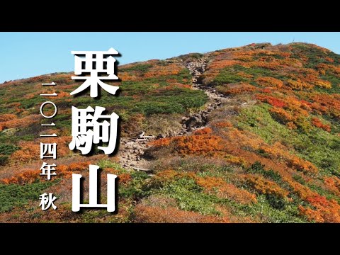 【栗駒山2024秋】 10月 神の絨毯と呼ばれる栗駒山の紅葉　いわかがみ平登山口