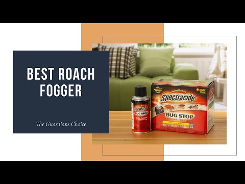 10 Best Roach Bombs And Foggers | The Guardians Choice