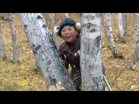 Children's singing led the Japanese army into the forest, various traps and traps