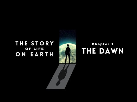 Origins of Life on Earth 4K | The Dawn