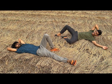 Both brothers are sleeping in the paddy field 😍