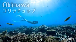 シュノーケリング＠沖縄ゴリラチョップ：Free Diving in Japan's Snorkeling Spot Okinawa Gorira Chop Coral, School of Fish