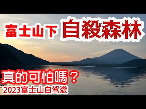 【日本旅遊】探訪日本“自殺森林”青木原樹海・真的可怕嗎？ 2023年日本山梨縣富士山週邊自由行・青木原樹海・精進湖・本栖湖・河口湖【4K Vlog】