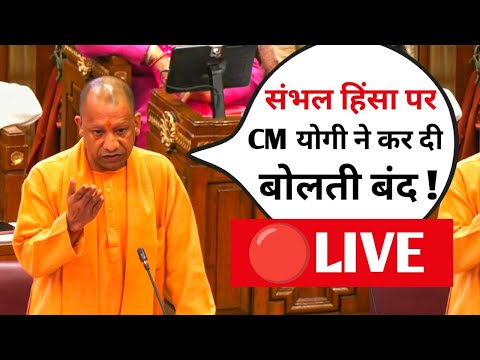 🔴LIVE CM Yogi :संभल को लेकर बोले योगी ! विधानसभा में CM योगी ने , कर दी बोलती बंद ! ,