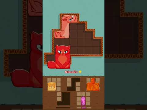 Ultimate Cat Puzzle Challenge: Can You Solve It? #funny #shorts #gaming #gamingshorts