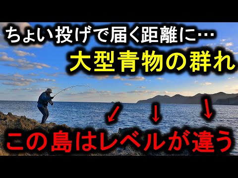 【離島遠征２】足元で大型青物がワラワラと沸く規格外な島でする釣りが楽しすぎです