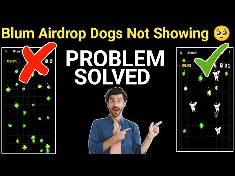 Blum Airdrop Dogs Not Showing || dogs not showing in Blum || Blum airdrop new update