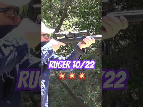 Ruger 10/22 #ozziereviews #ruger #22lr #shooting #rifle #viralshorts #pewpew #gun #rifles #plinking