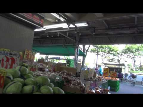 板橋区高島平駅周辺を動画で紹介【団地ほのぼの】