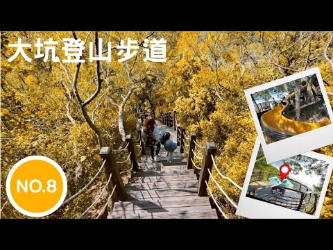 【台中野小孩遊樂天堂】風動石 | 大坑登山步道 － 8號