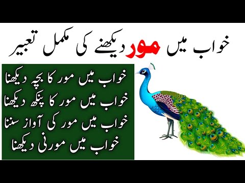 Khwab mein mor dekhna | Khwab mein mor ko dekhna | Peacock dream meaning