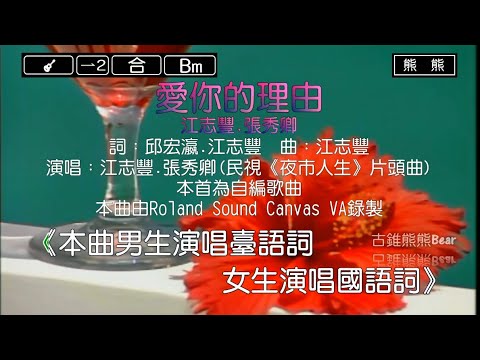 愛你的理由-江志豐&張秀卿(Karaoke伴奏)