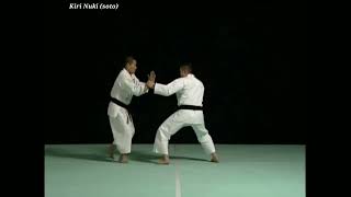 KIRI NUKI (SOTO/UCHI) 2 TYPES || 少林寺拳法