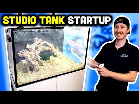 Studio Tank is LIVE!