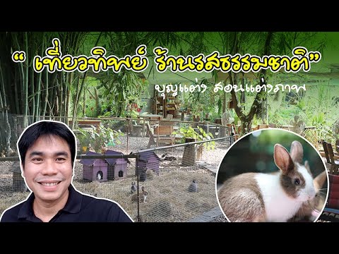 เที่ยวทิพย์ บุญแต่งพาเที่ยวรสธรรมชาติ ร้านตัวเอง