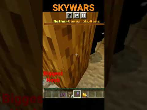 SKYWARS VICTORY MINECRAFT