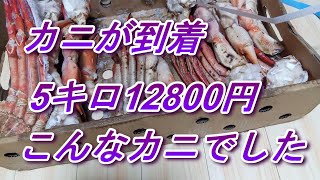 カニ5キロ12800円購入、到着。「訳あり特大まるずわいがに」こんな感じのカニです