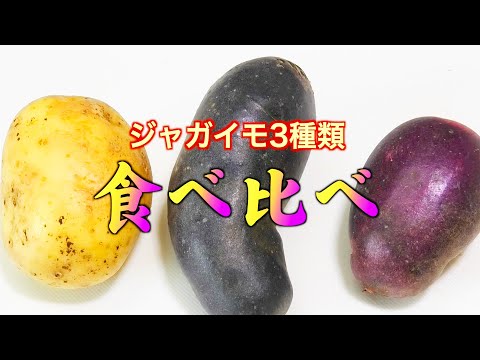 ジャガイモ3種を食べ比べてみた