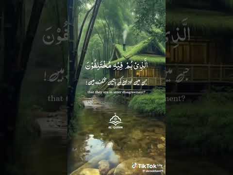 Tilawat Quran||Quran recitation # #allah #quran #tilawat #Quranstatus