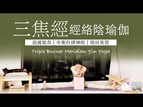 【三焦經 | 陰瑜伽】45分鐘 #meridianYinYoga ★ #經絡 #自律神経  #明目 #美容  #舒通氣血 #yinyoga #瑜珈師資培訓