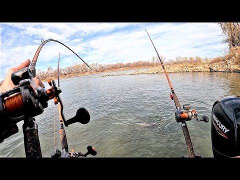 Wing Dams Hold BIG FISH!! (Fishing a MASSIVE RIVER)