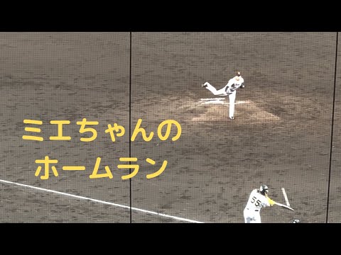 ミエセスバックスクリーン左へ5号ホームラン #阪神タイガース