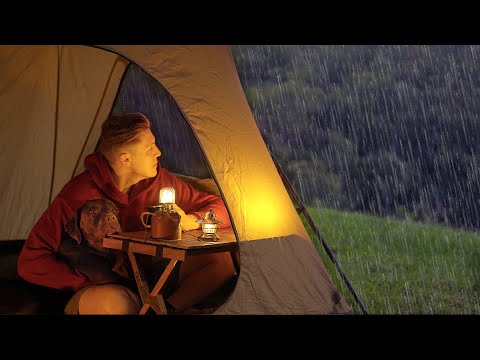 SOLO CAMPING in heavy RAIN with my DOG [ relaxing in the tent, cosy night,  ASMR ]