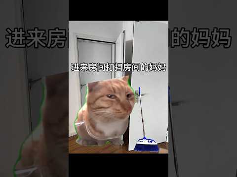 整天只会吃吃吃 #猫 #cat #memes