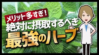 【論文解説】「メリット多すぎ！絶対に摂取するべき最強のハーブ」を世界一分かりやすく要約してみた