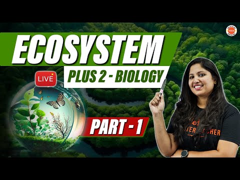 Ecosystem in Malayalam| Plus Two biology | Part 1 | Anchana Ma'am