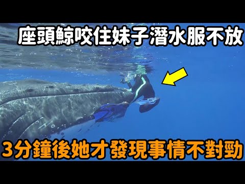 The humpback whale suddenly bit her sister's diving suit and did not let go. It took her 3 minutes