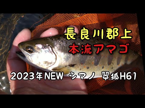 渓流/餌釣り  長良川郡上の本流アマゴ【2023new シマノ翠狐H61】