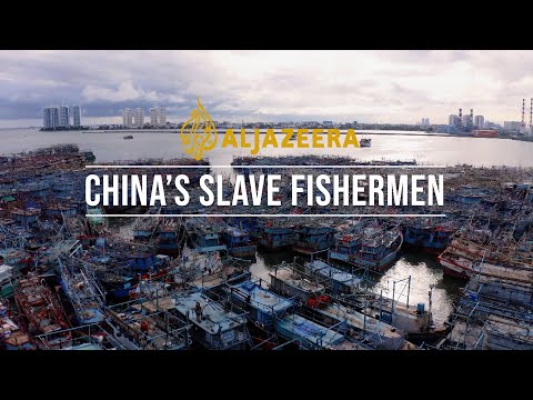 China's Slave Fishermen | Preview