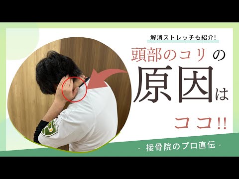 【頭部のこり〜顔面神経痛〜】顔のこめかみや耳の後ろ、頭のつけ根が座っていると痛くなる、疲れてくると目の周りがチカチカし痛くなる方へのストレッチ！｜接骨院のプロが教えるお家セルフケア｜テラピスト接骨院