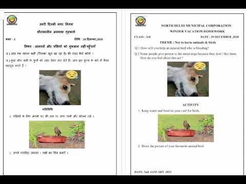 Class 3 EVS Holiday Homework Winter vacation |How to do| शीतकालीन अवकाश हेतु गृहकार्य कैसे करें